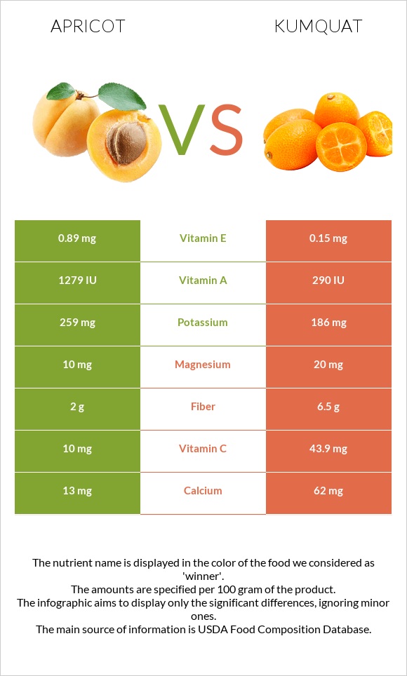 Apricot vs Kumquat infographic