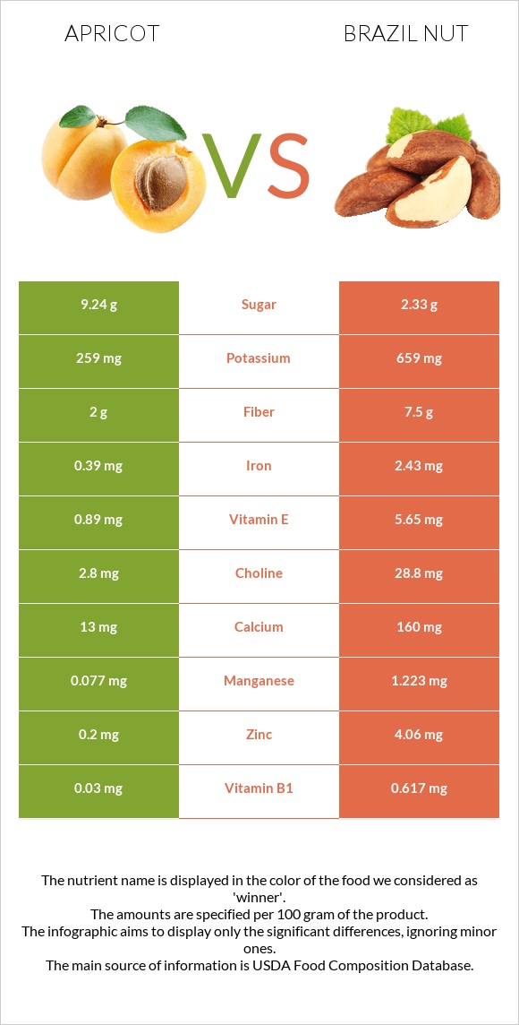 Apricot vs Brazil nut infographic