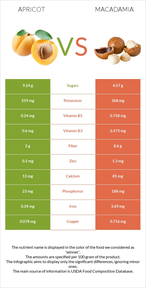 Apricot vs Macadamia infographic