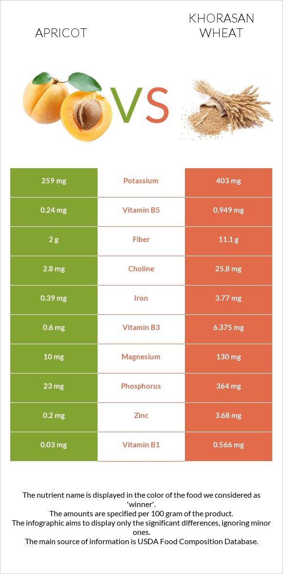 Apricot vs Khorasan wheat infographic