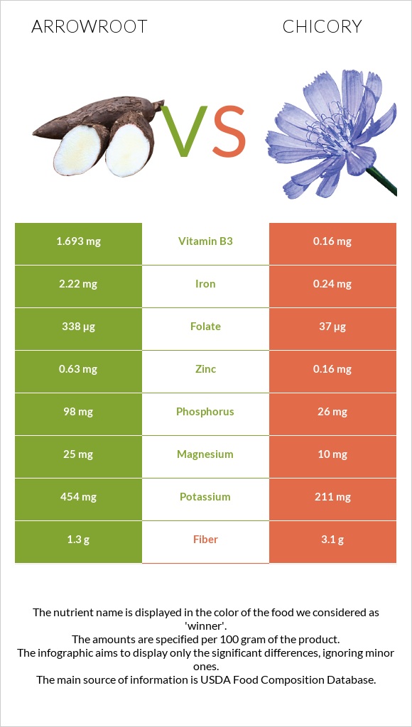 Arrowroot vs Chicory infographic