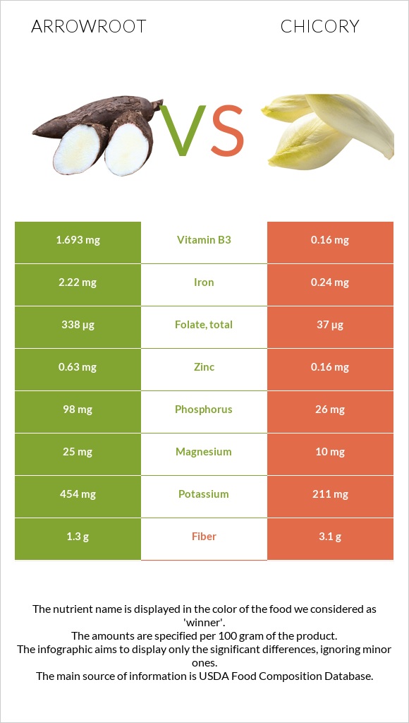 Arrowroot vs Chicory infographic