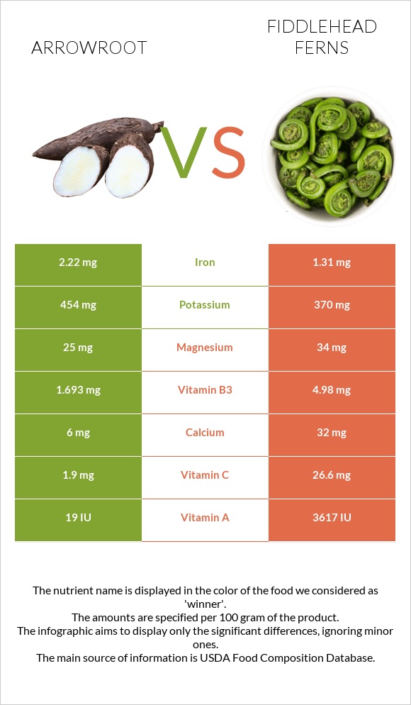 Arrowroot vs Fiddlehead ferns infographic