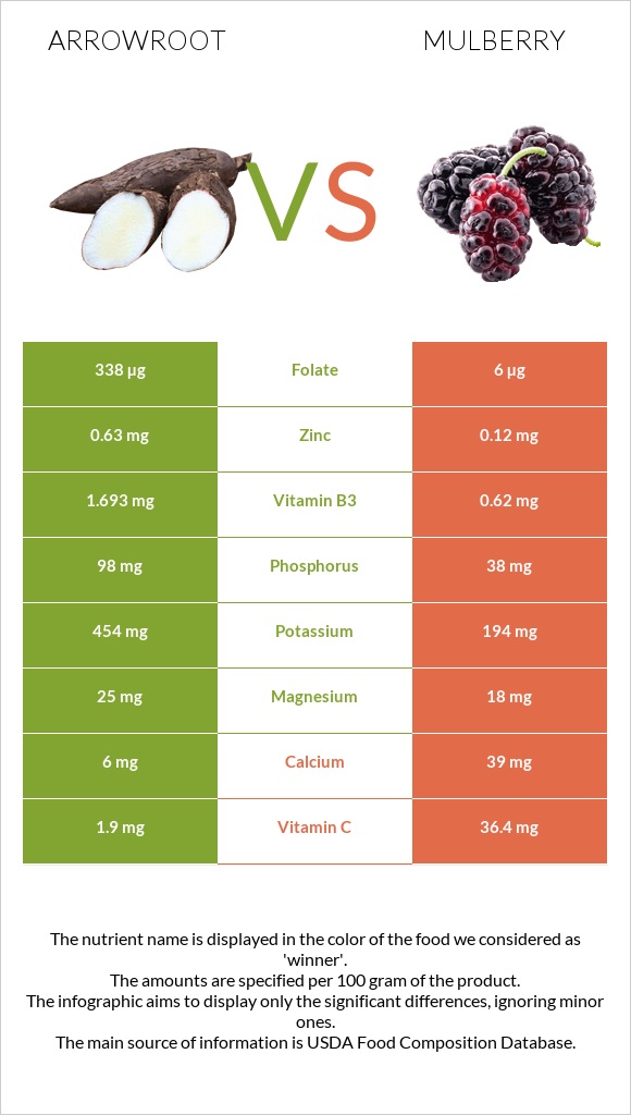 Arrowroot vs Mulberry infographic