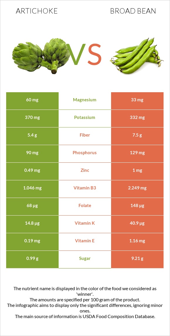 Artichoke vs Broad bean infographic