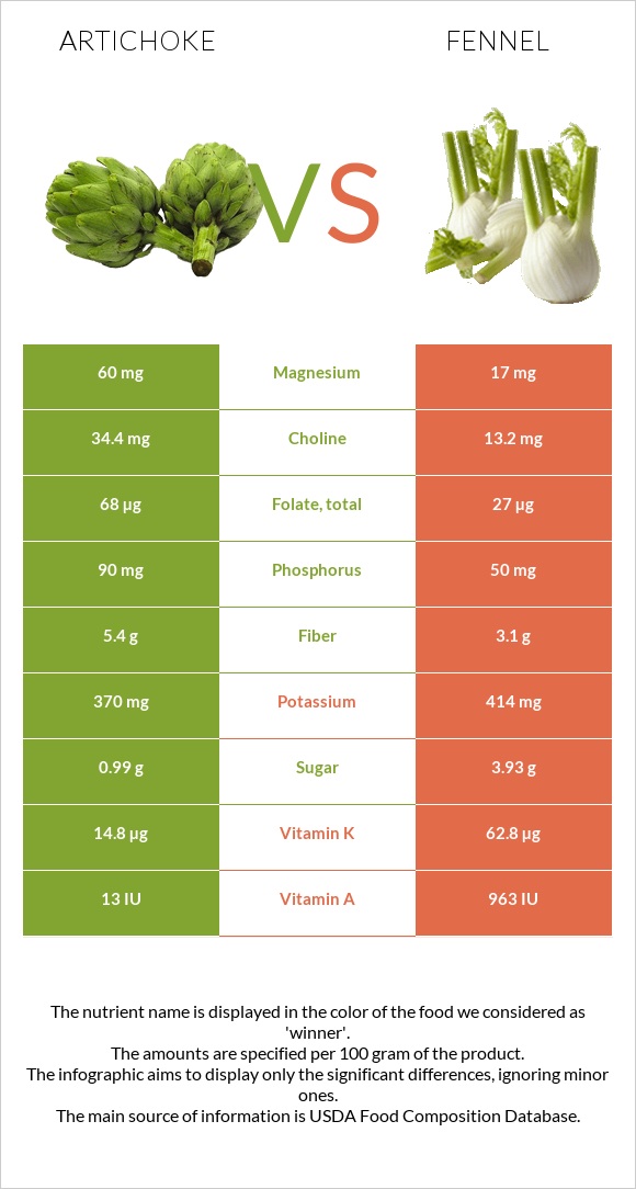 Artichoke vs Fennel infographic