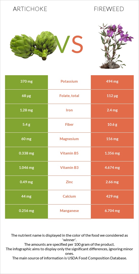 Artichoke vs Fireweed infographic