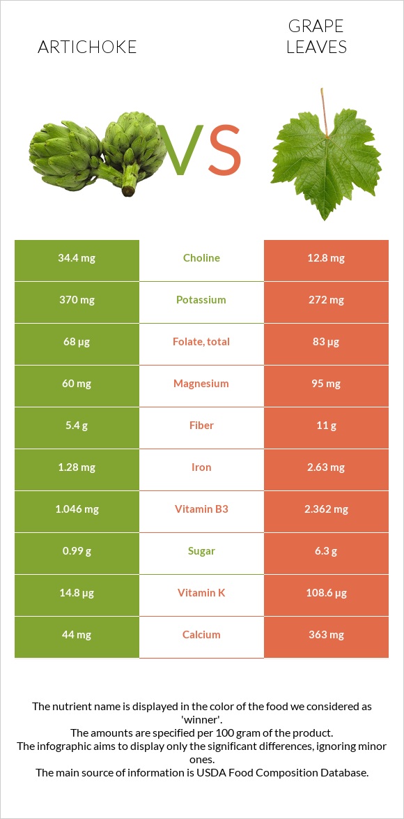 Artichoke vs Grape leaves infographic