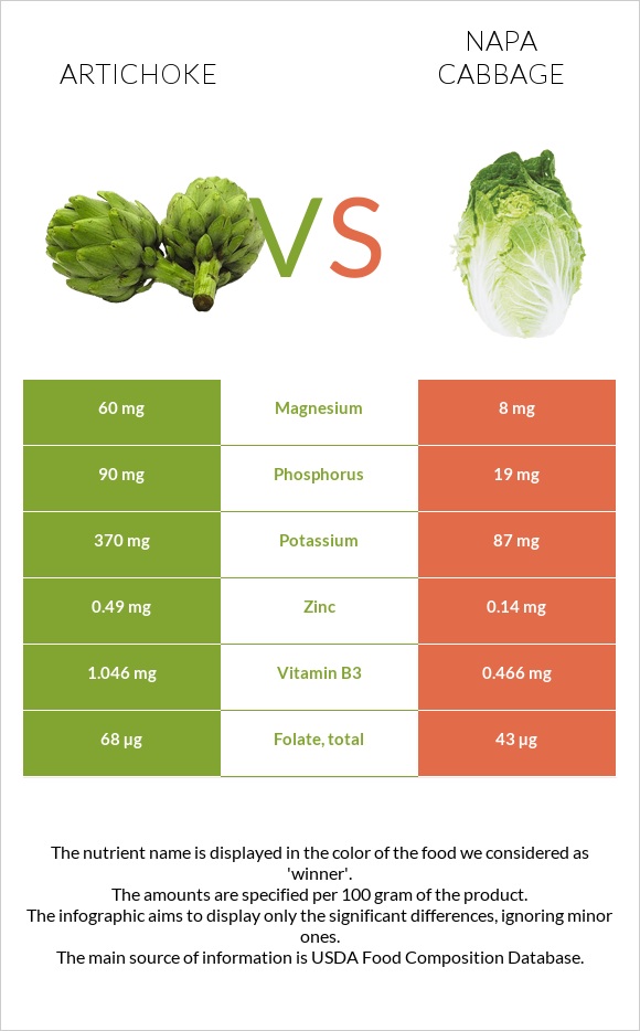 Artichoke vs Napa cabbage infographic