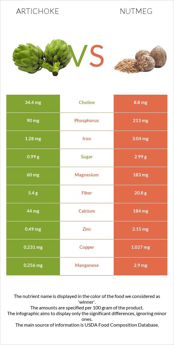 Artichoke vs Nutmeg infographic