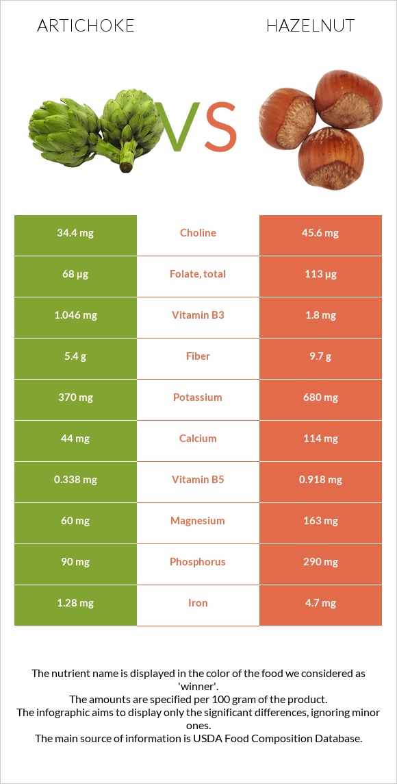 Artichoke vs Hazelnut infographic