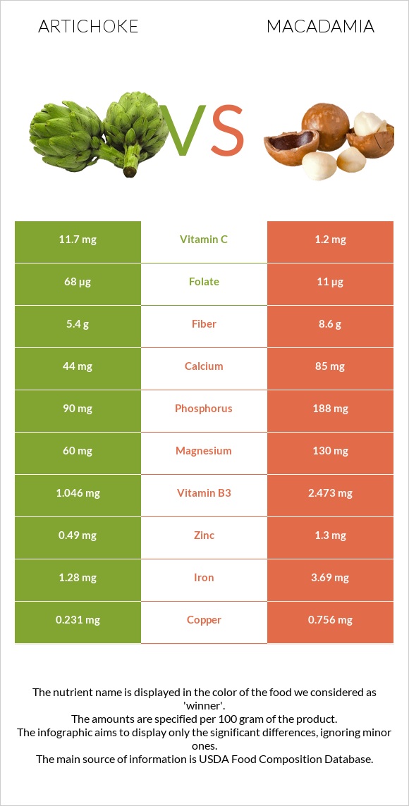 Artichoke vs Macadamia infographic