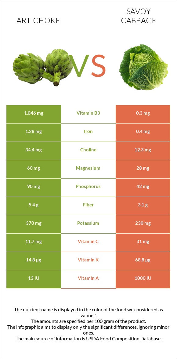 Artichoke vs Savoy cabbage infographic