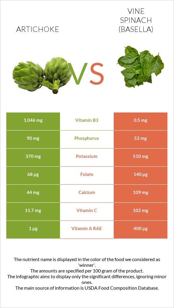 Artichoke vs Vine spinach (basella) infographic