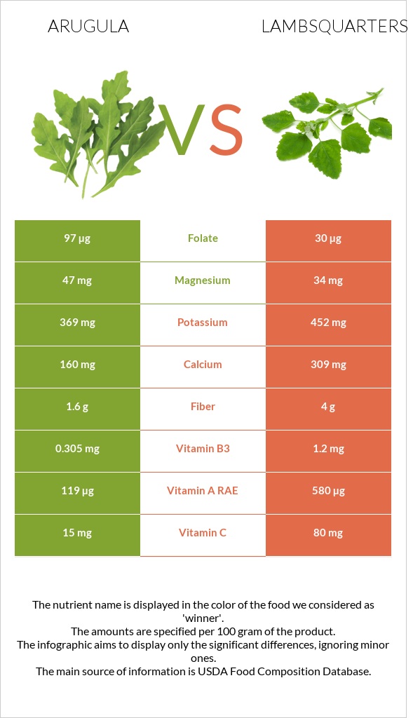 Ռուկոլա vs Lambsquarters infographic