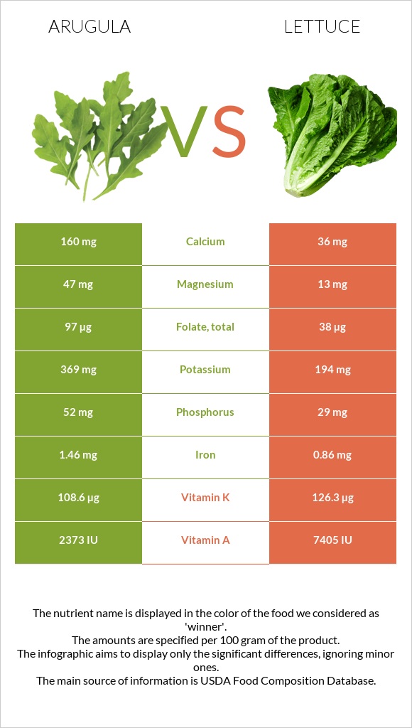 Arugula vs Lettuce infographic