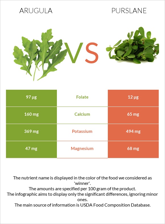 Ռուկոլա vs Purslane infographic