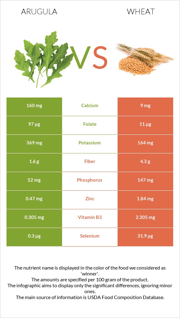 Arugula vs Wheat infographic