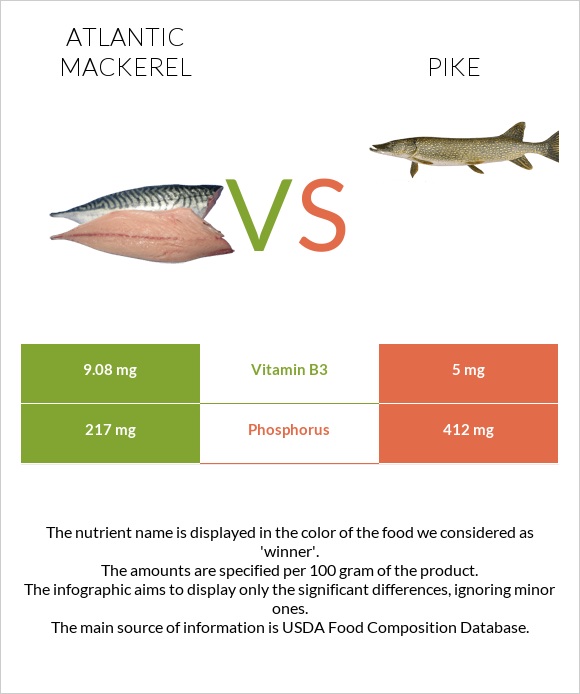 Atlantic Mackerel vs Pike infographic
