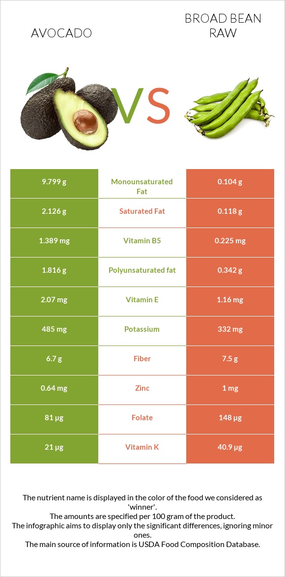 Avocado vs Broad bean raw infographic