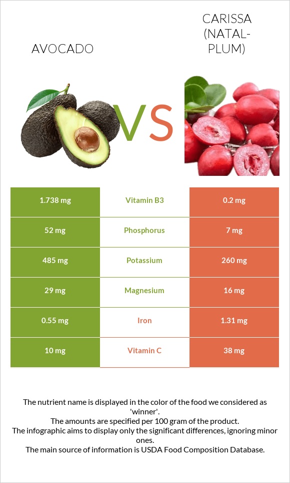 Avocado vs Carissa (natal-plum) infographic