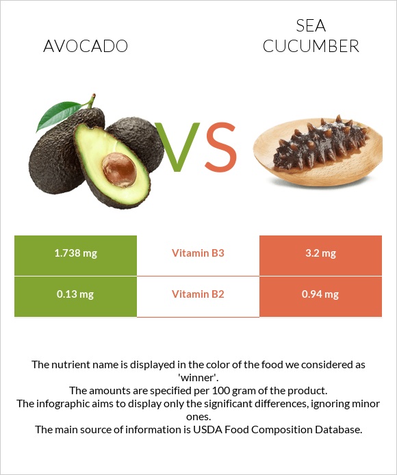 Ավոկադո vs Sea cucumber infographic