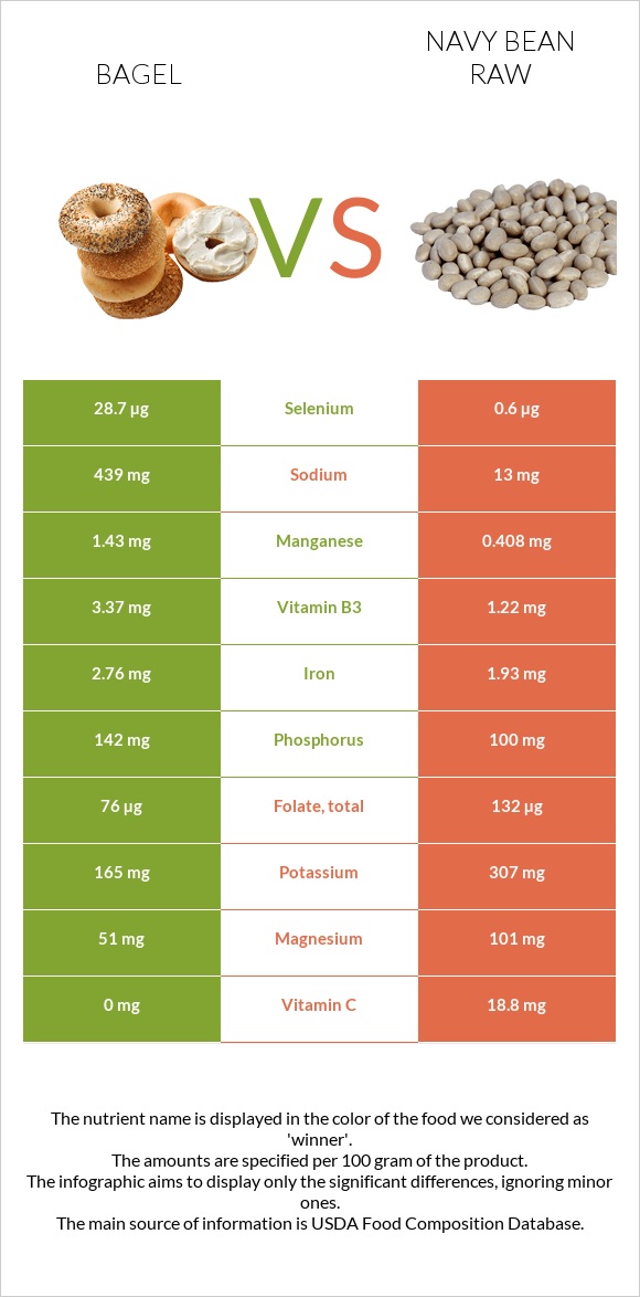 Bagel vs Navy bean raw infographic