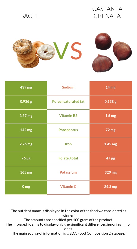 Bagel vs Castanea crenata infographic