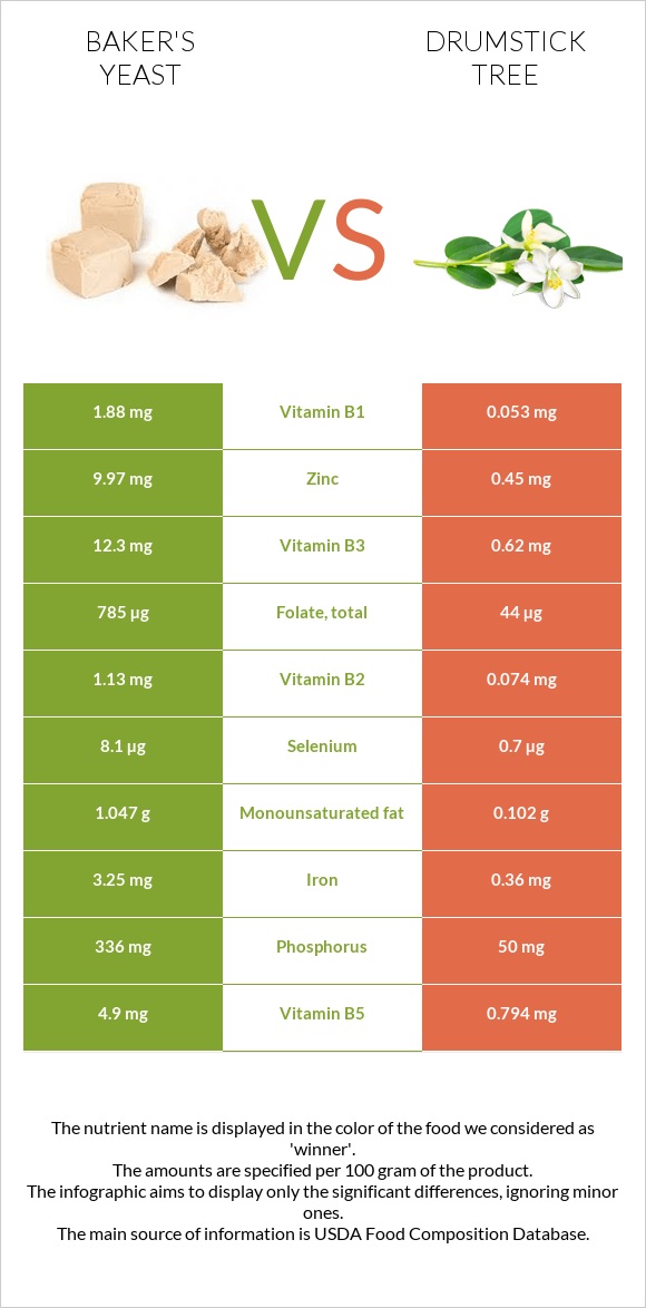 Baker's yeast vs Drumstick tree infographic