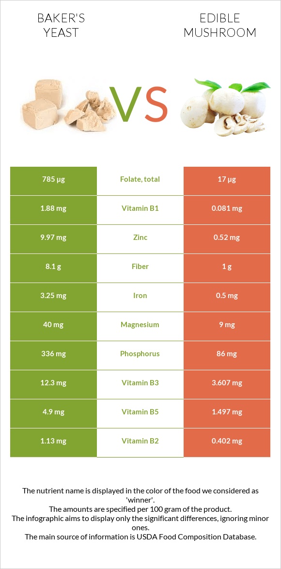Baker's yeast vs Edible mushroom infographic