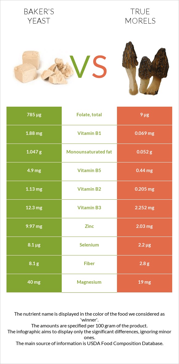 Baker's yeast vs True morels infographic