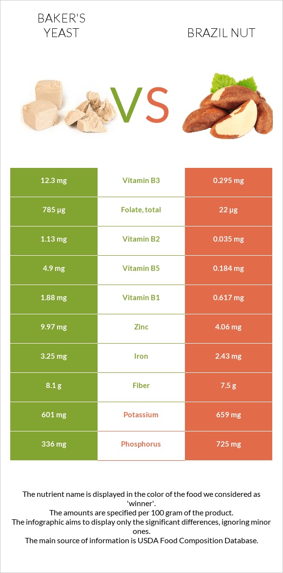 Baker's yeast vs Brazil nut infographic