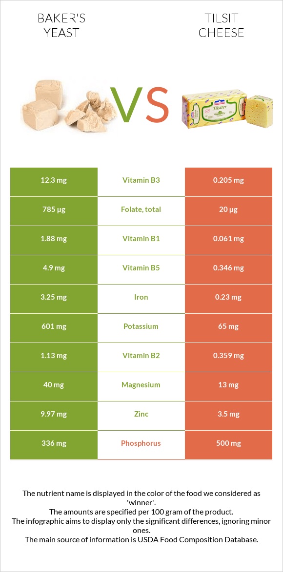 Baker's yeast vs Tilsit cheese infographic