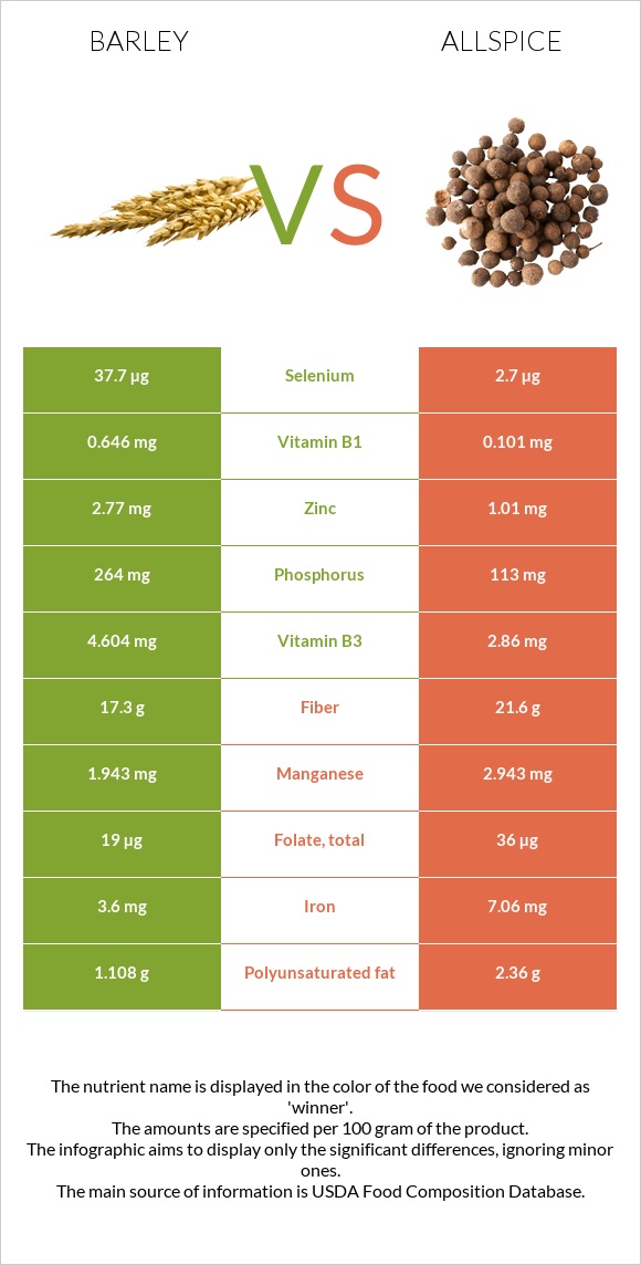 Barley vs Allspice infographic