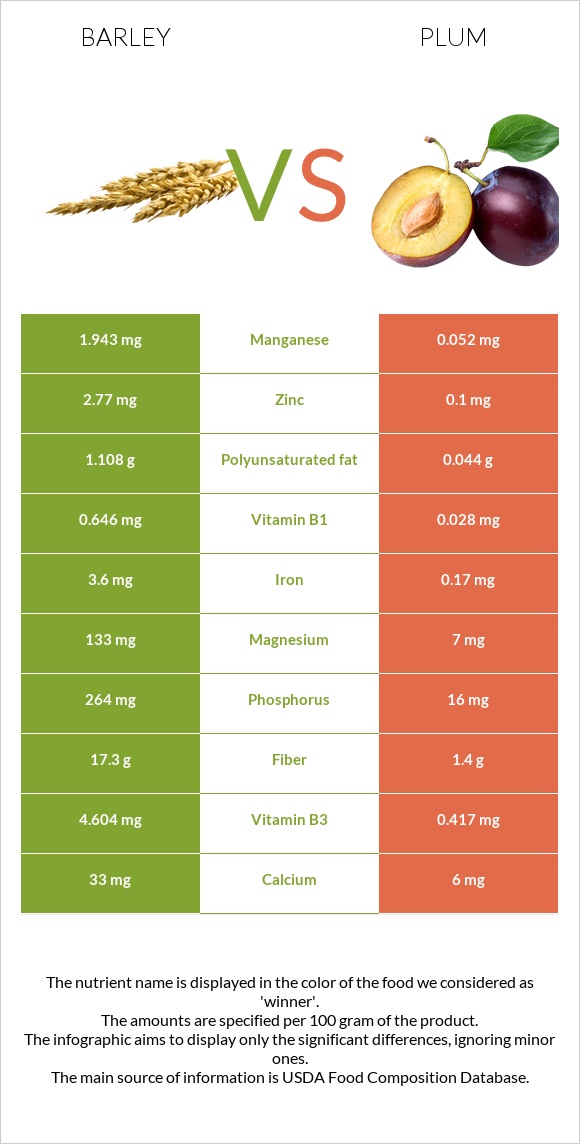 Barley vs Plum infographic