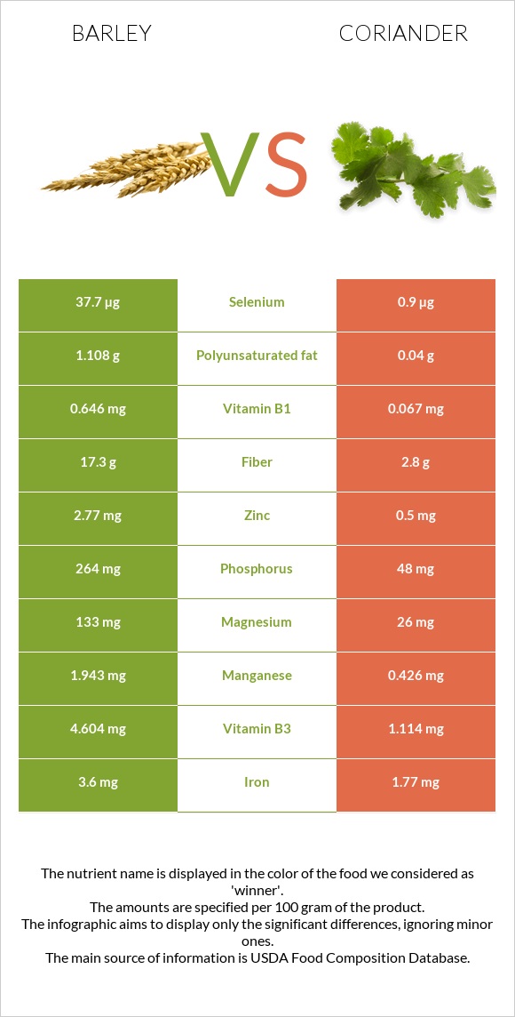 Barley vs Coriander infographic