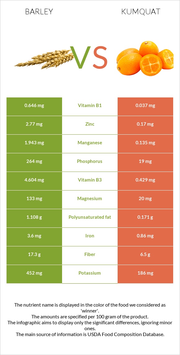 Barley vs Kumquat infographic