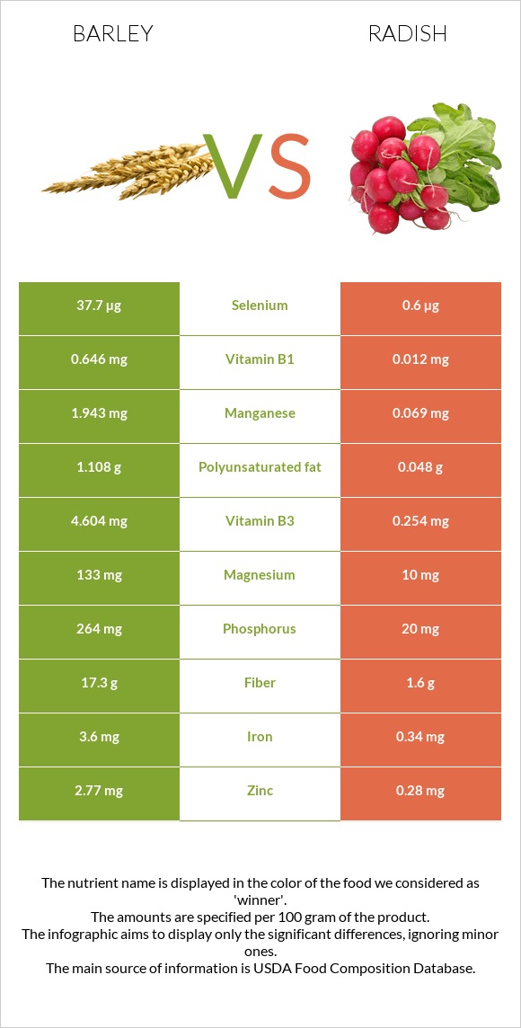 Barley vs Radish infographic