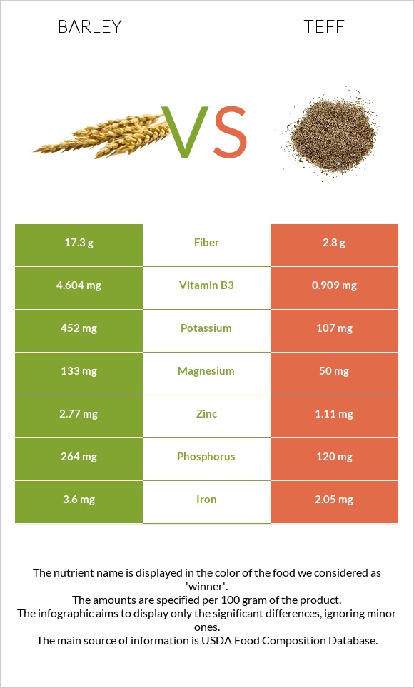 Barley vs Teff infographic