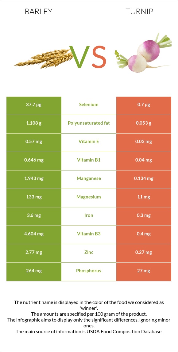 Barley vs Turnip infographic