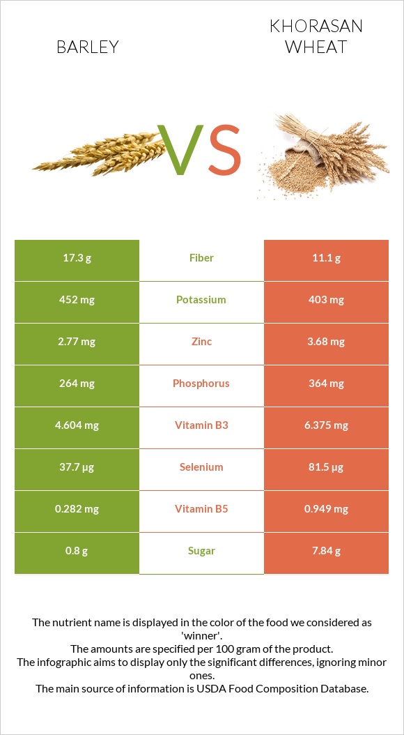 Barley vs Khorasan wheat infographic
