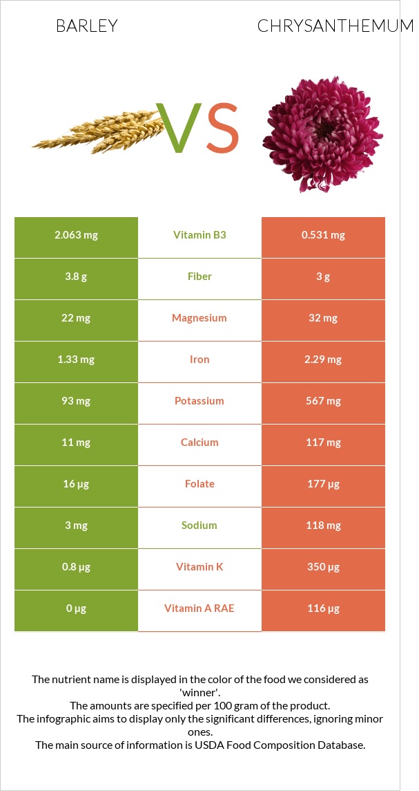 Barley vs Chrysanthemum infographic