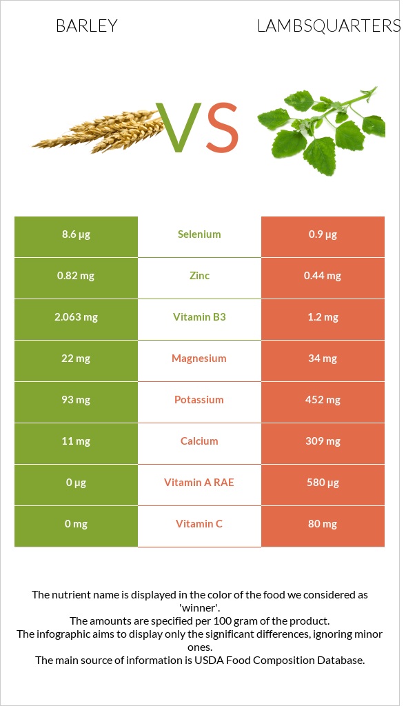 Barley vs Lambsquarters infographic