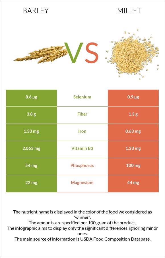 Barley vs Millet infographic