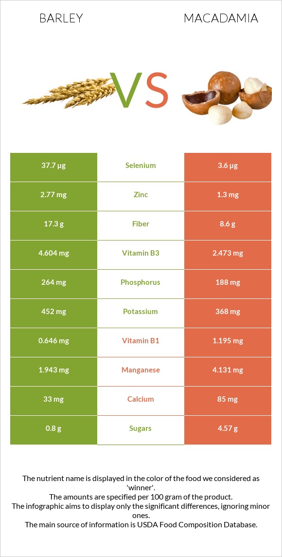 Barley vs Macadamia infographic