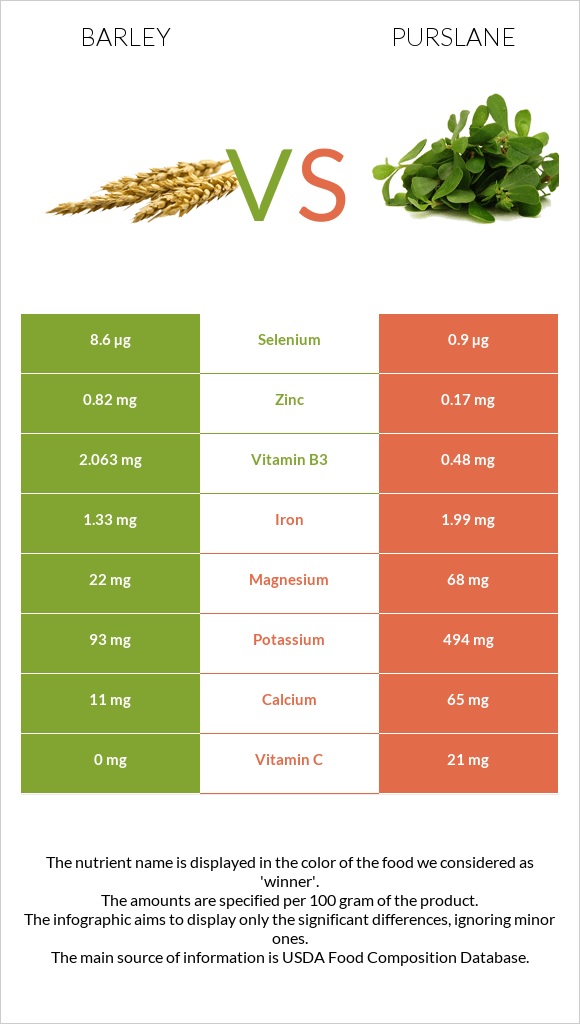 Barley vs Purslane infographic