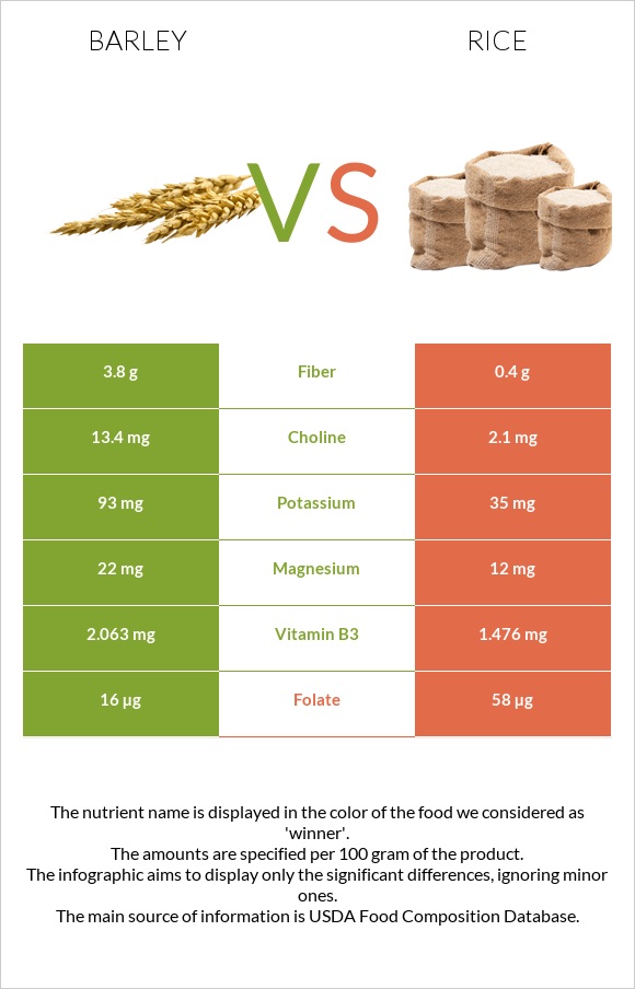 Barley vs Rice infographic