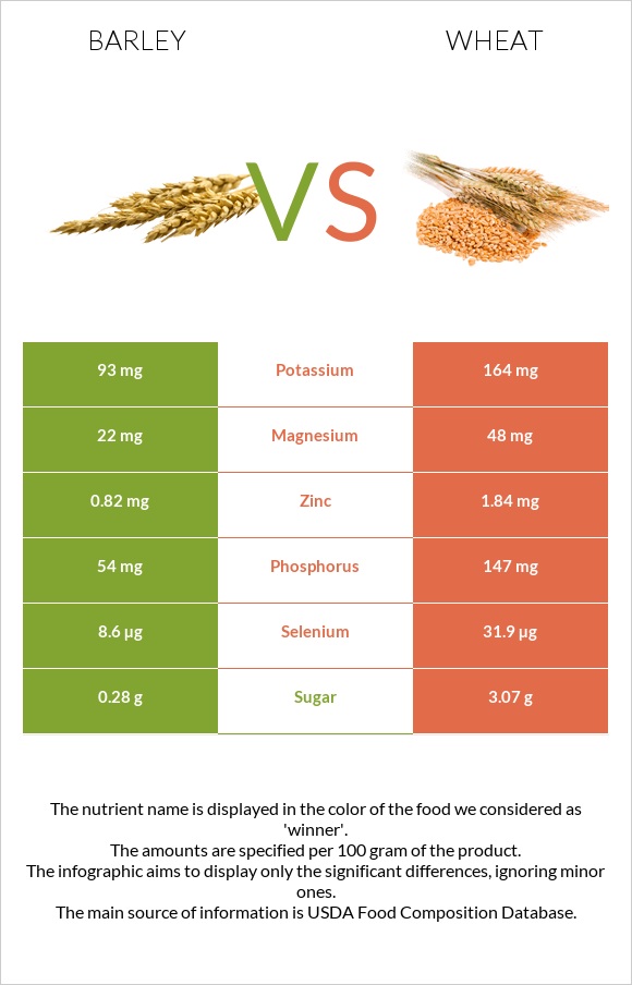 barley vs wheat plant