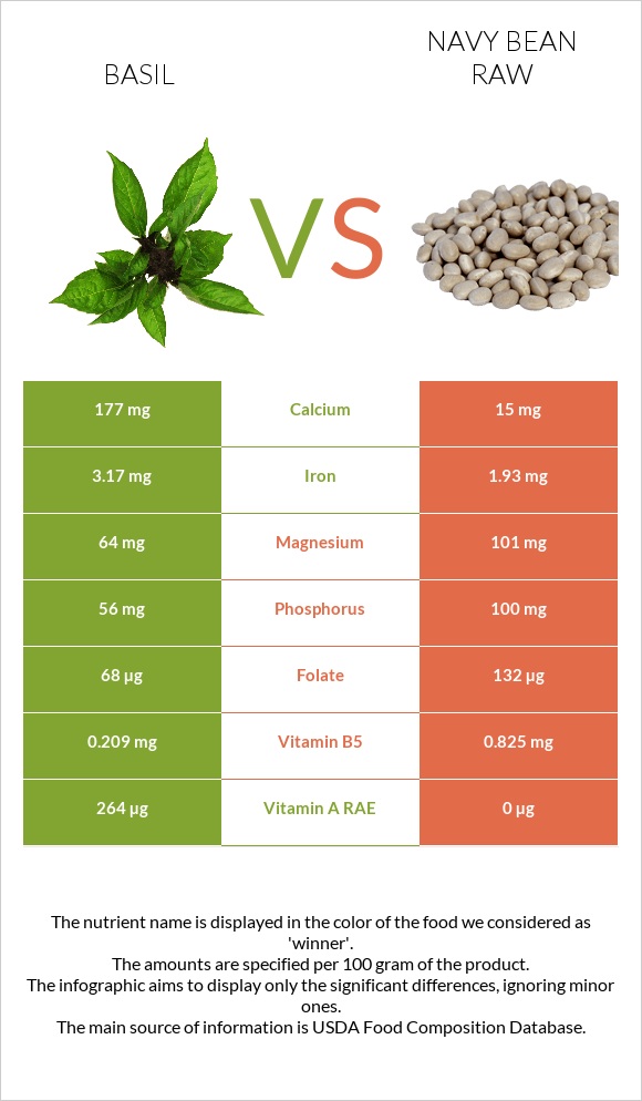 Basil vs Navy bean raw infographic