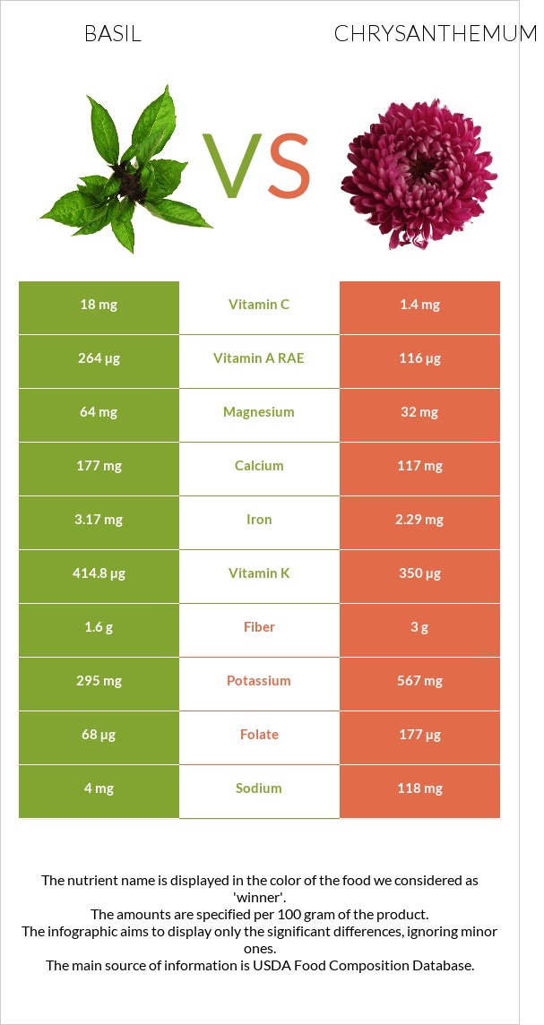 Basil vs Chrysanthemum infographic